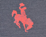 True Grit Bronco